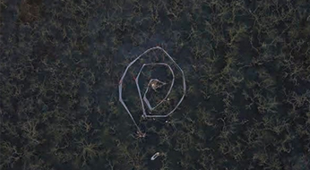 Mangrove : (En) Circling the Loss